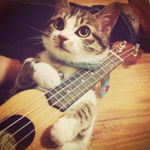 日本久久美女裸照高潮美图
